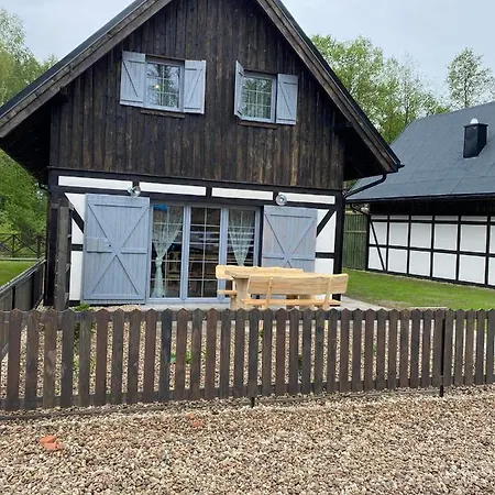 Kocanka W Lesie, Przy Jeziorze W Kaszubskiej Wenecji, Na Gwizdowce Zalakowo