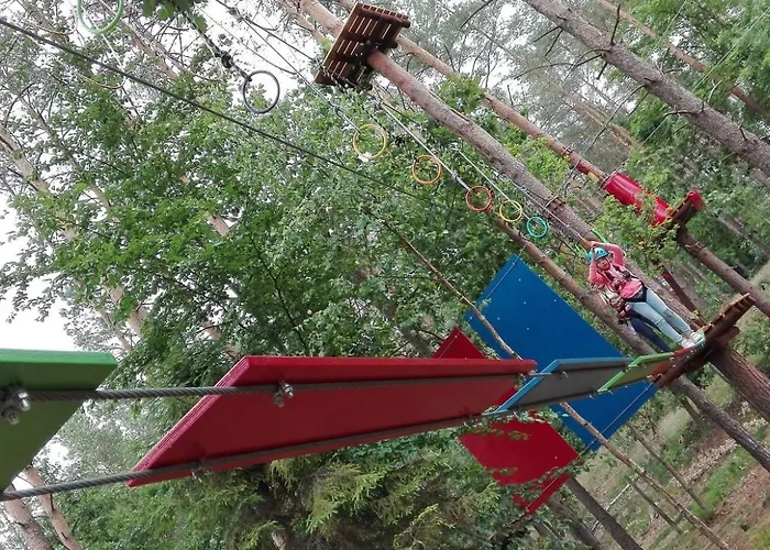 Kocanka W Lesie, Przy Jeziorze W Kaszubskiej Wenecji, Na Gwizdowce Zalakowo